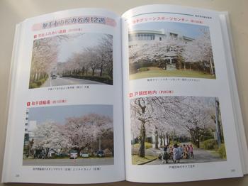 本の中身紹介画像で、取手市の桜の名所12選のページです。