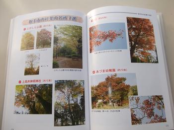 本の中身の紹介画像で、取手市の紅葉の名所7選のページです。