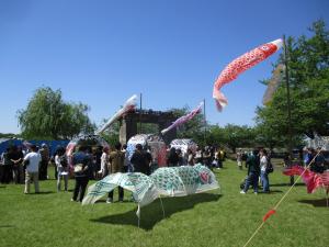 たくさんの鯉のぼりが会場で泳いでいます