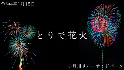 とりで花火小貝川リバーサイドパーク動画サムネイル画像