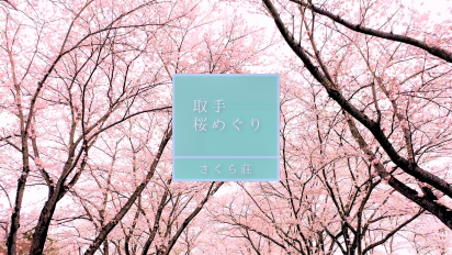桜めぐり「さくら荘」動画サムネイル画像