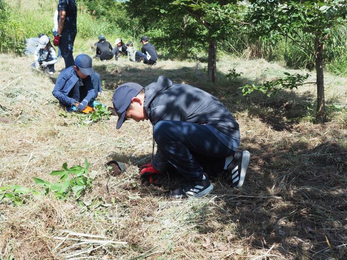 みなかみ町コナラ植樹体験
