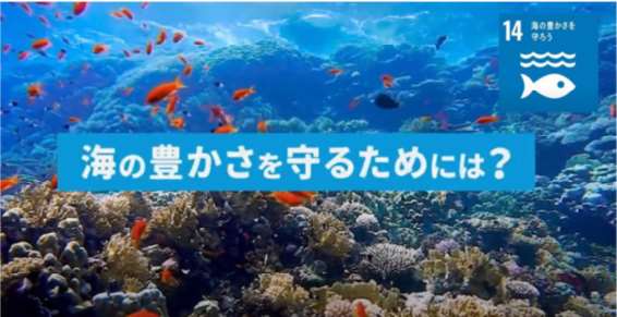 JICA地球ひろば作成動画画像。海の豊かさを守るためには？