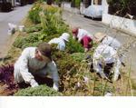 花壇の除草作業をしている会員の写真