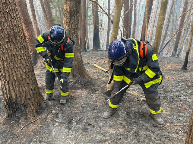林の中で2人の消防士が消火作業をしている様子